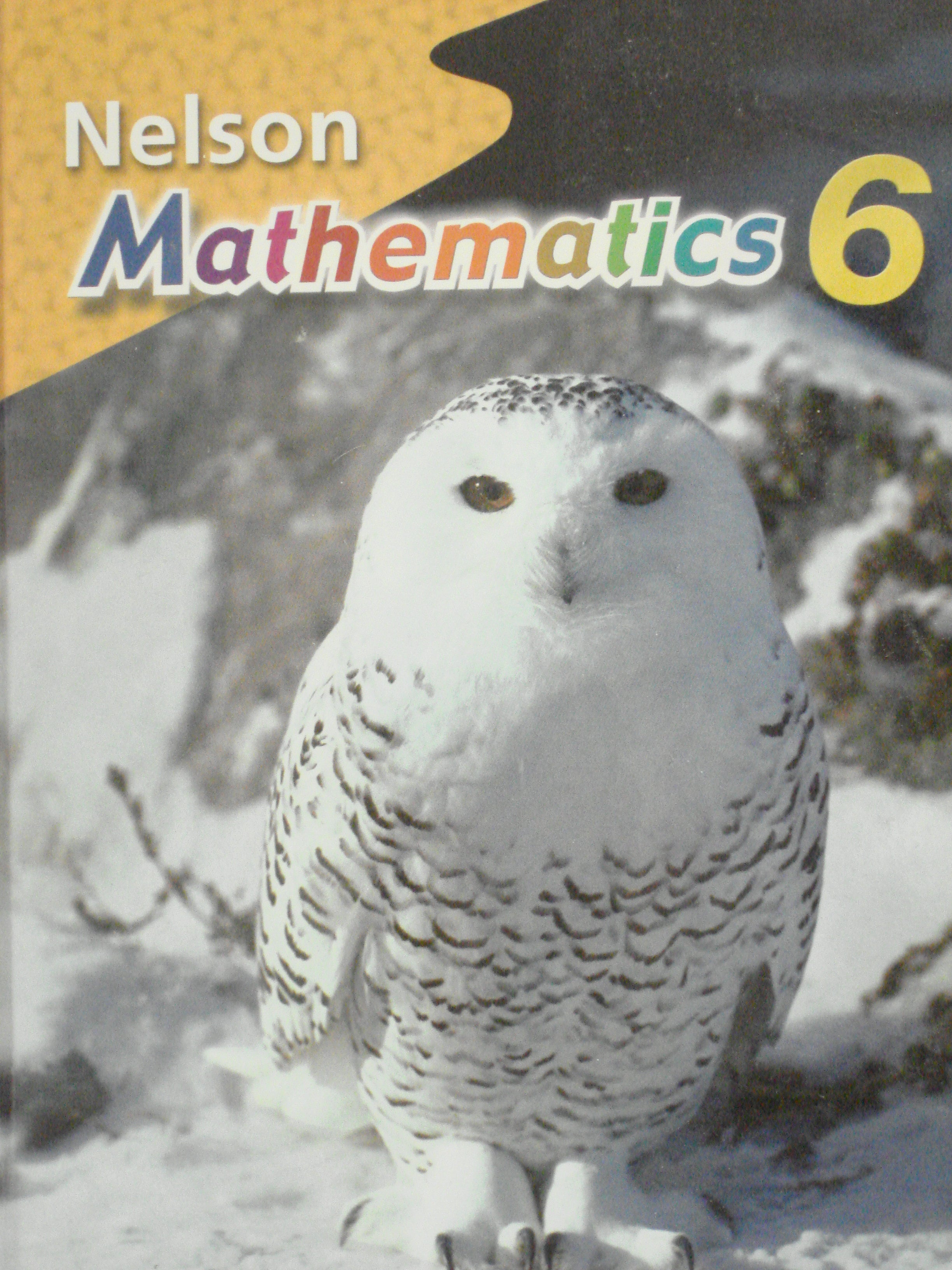 Nelson Mathematics 6 Textbook