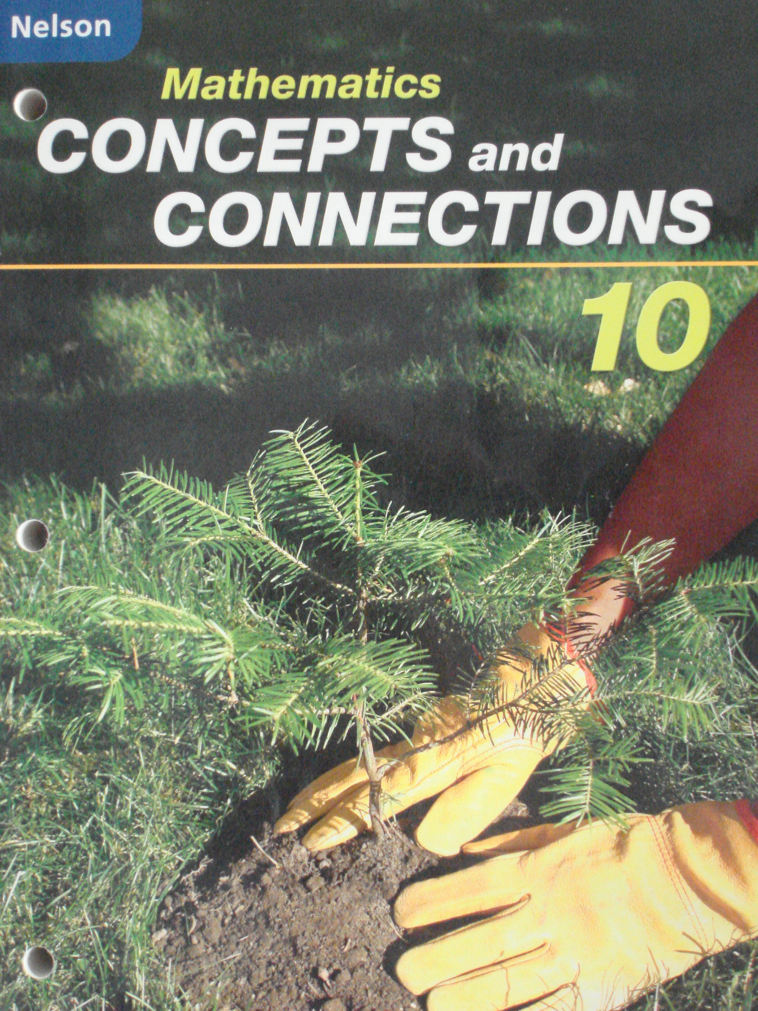 Mathematics Concepts and Connections 10