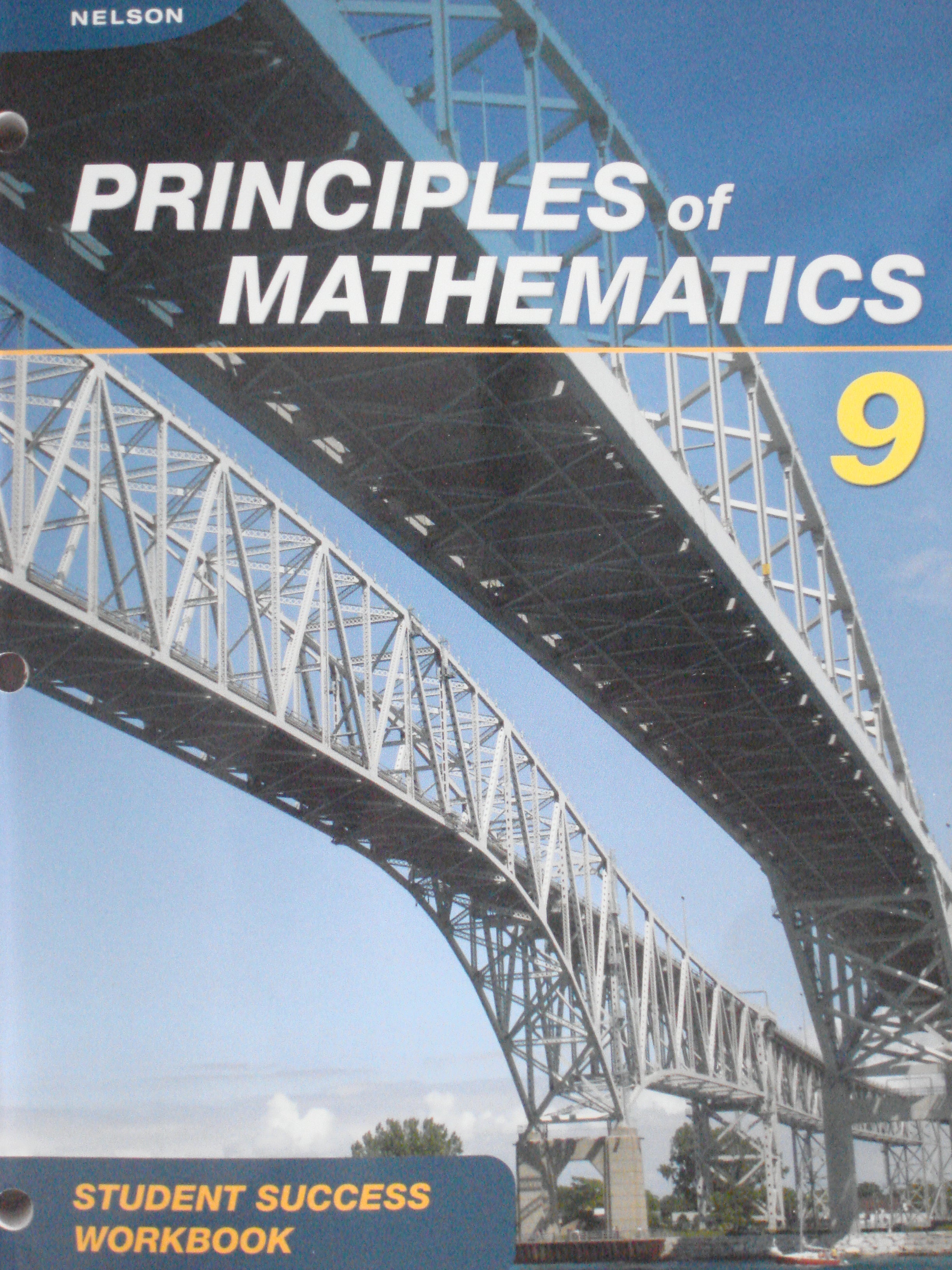 Nelson Principles of Mathematics 9 Student Success Workbook