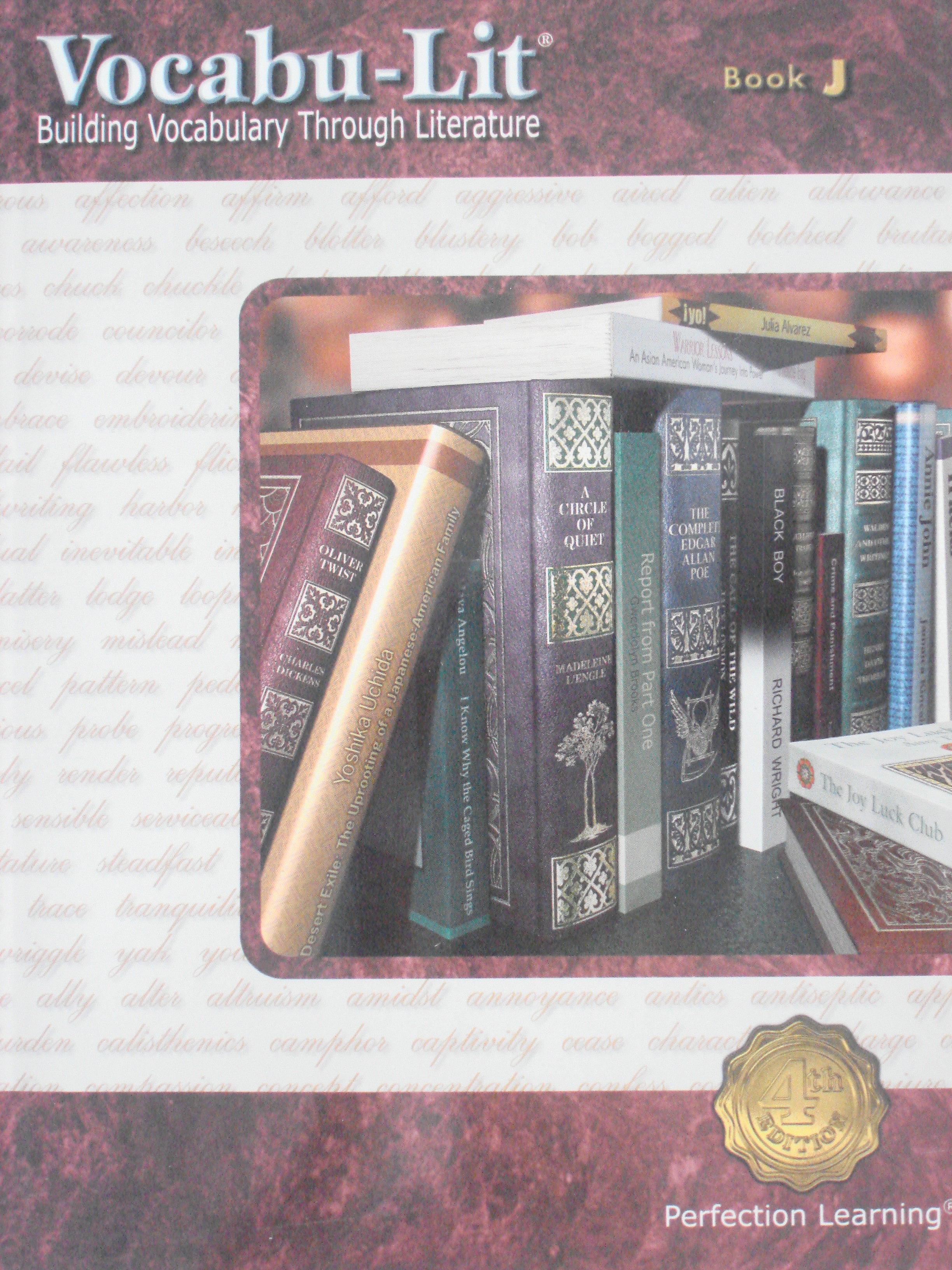 Vocabu-Lit Book J