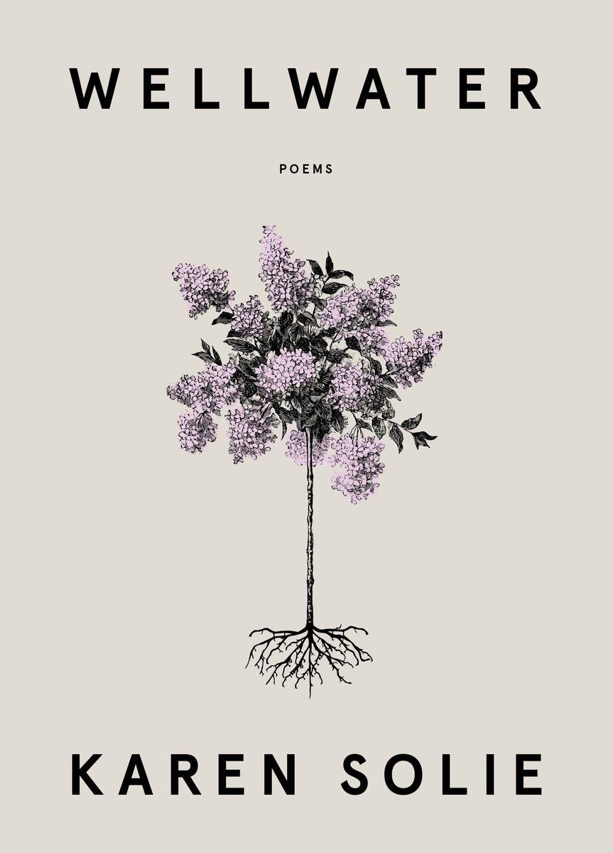 Wellwater: Poems