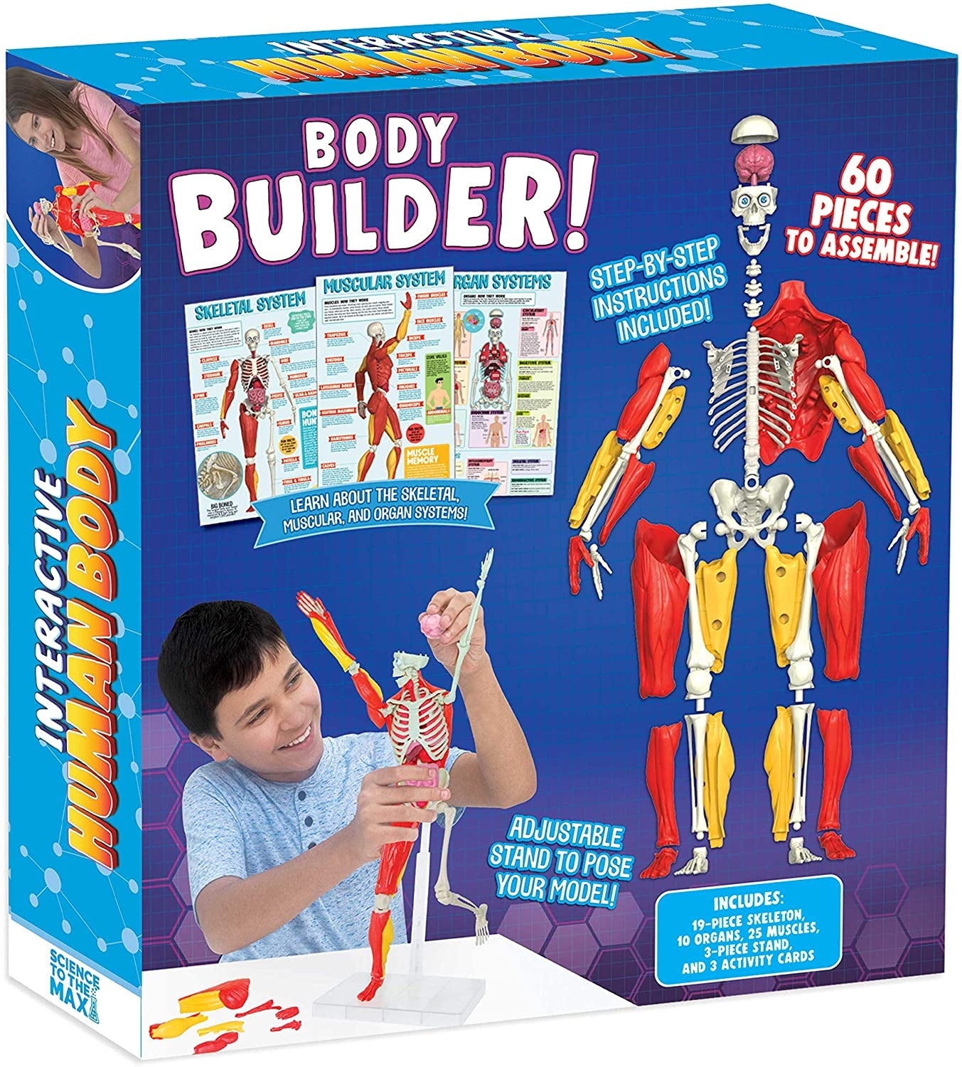 Interactive Human Body