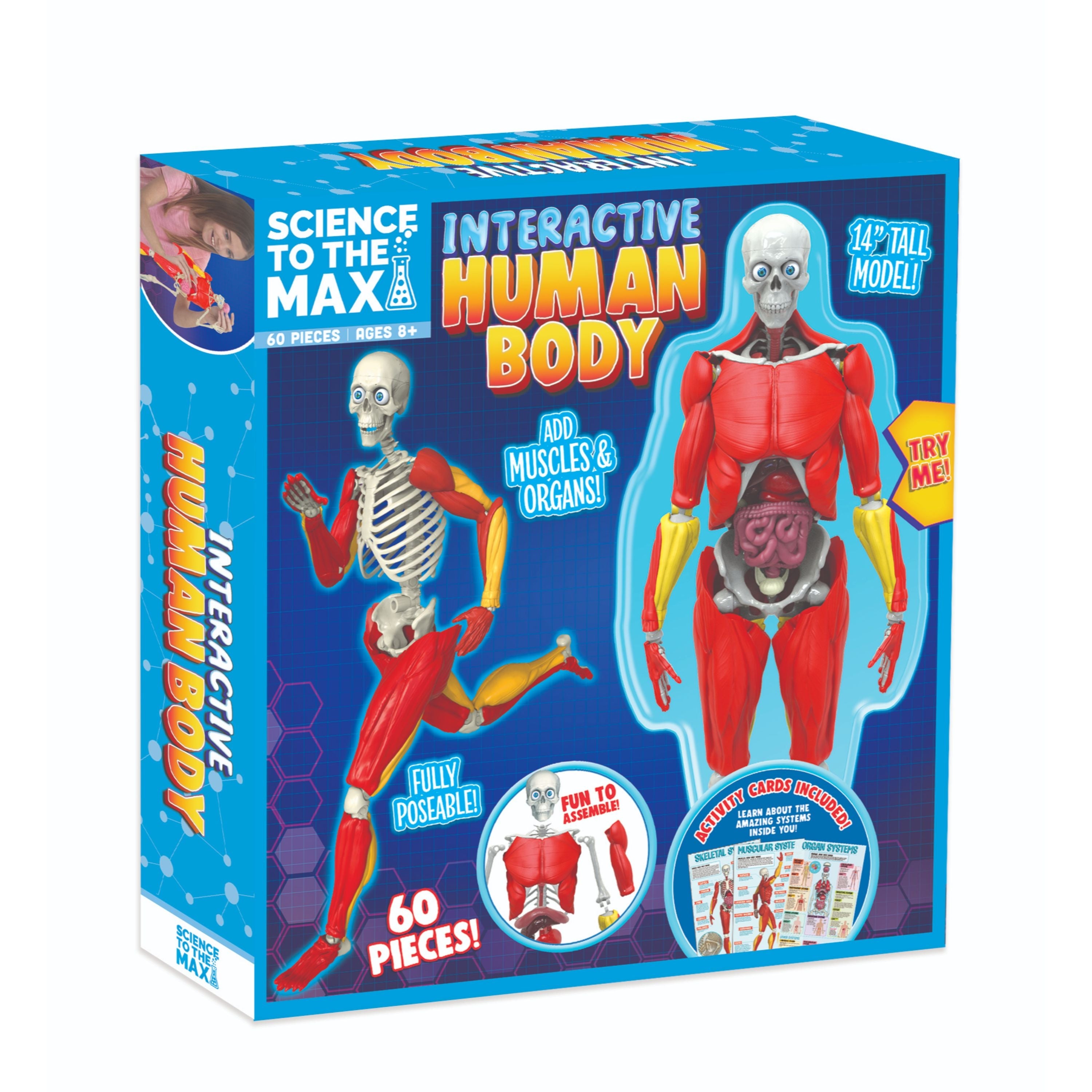 Interactive Human Body