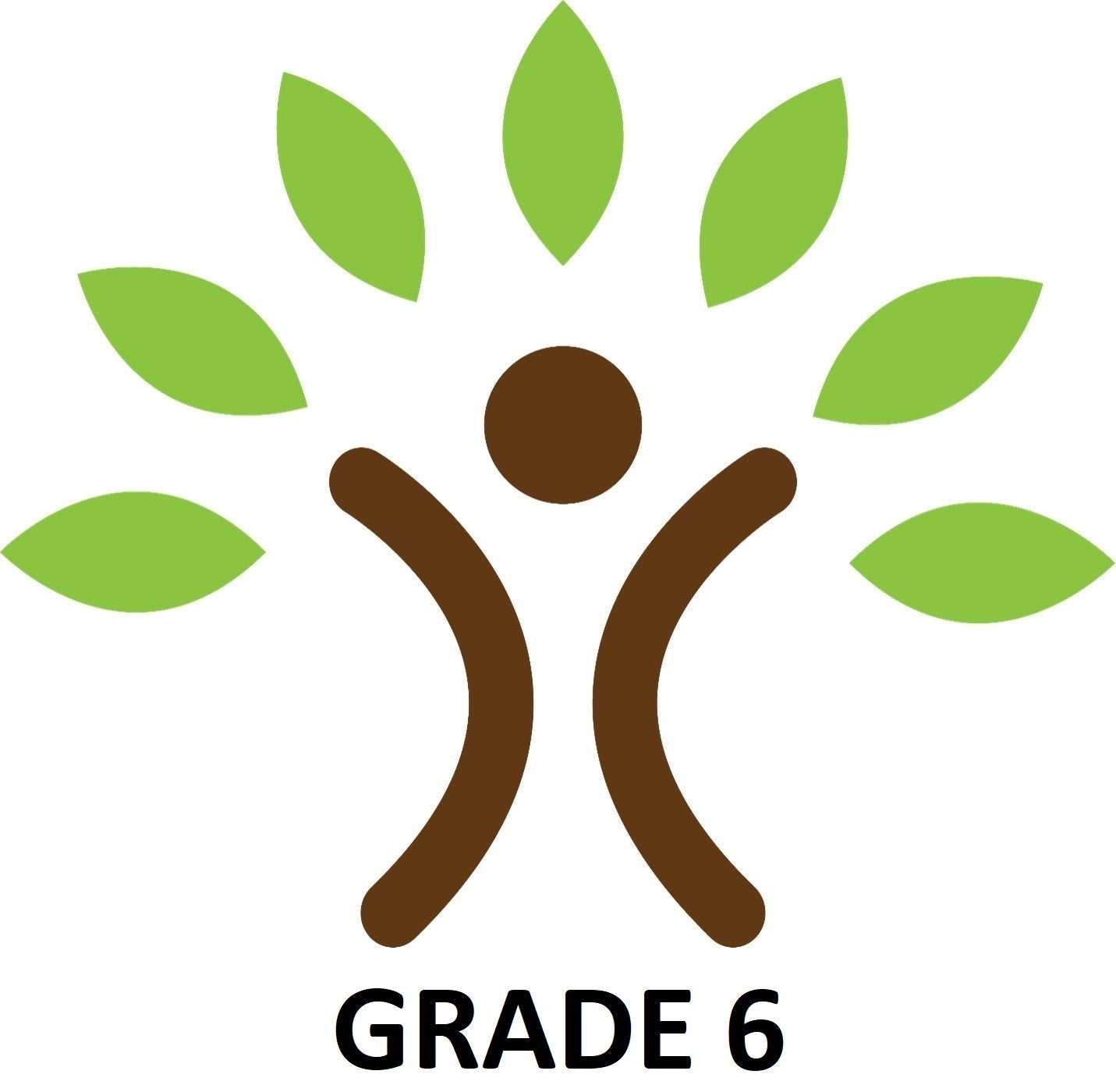 Roots Private School Grade 6