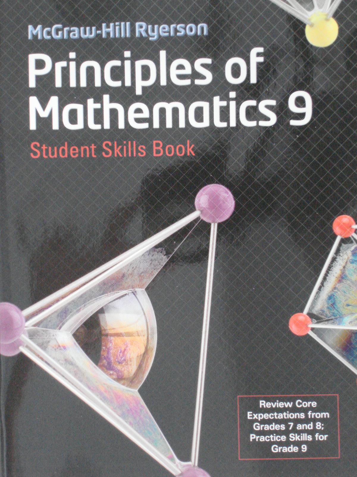 McGraw-Hill Ryerson Principles of Mathematics 9 Student Skills Book