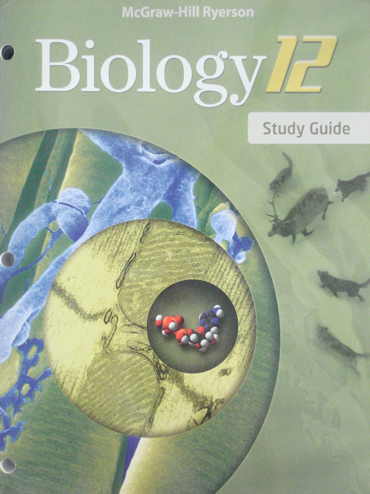 Biology 12 University Preparation Study Guide