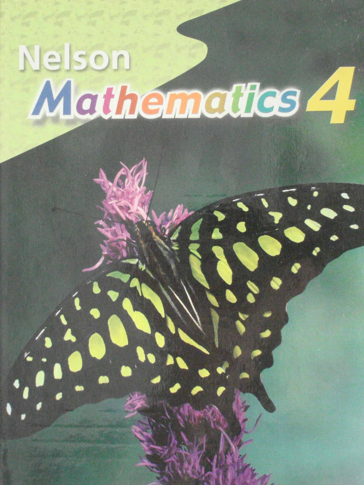 Nelson Mathematics 4 Textbook