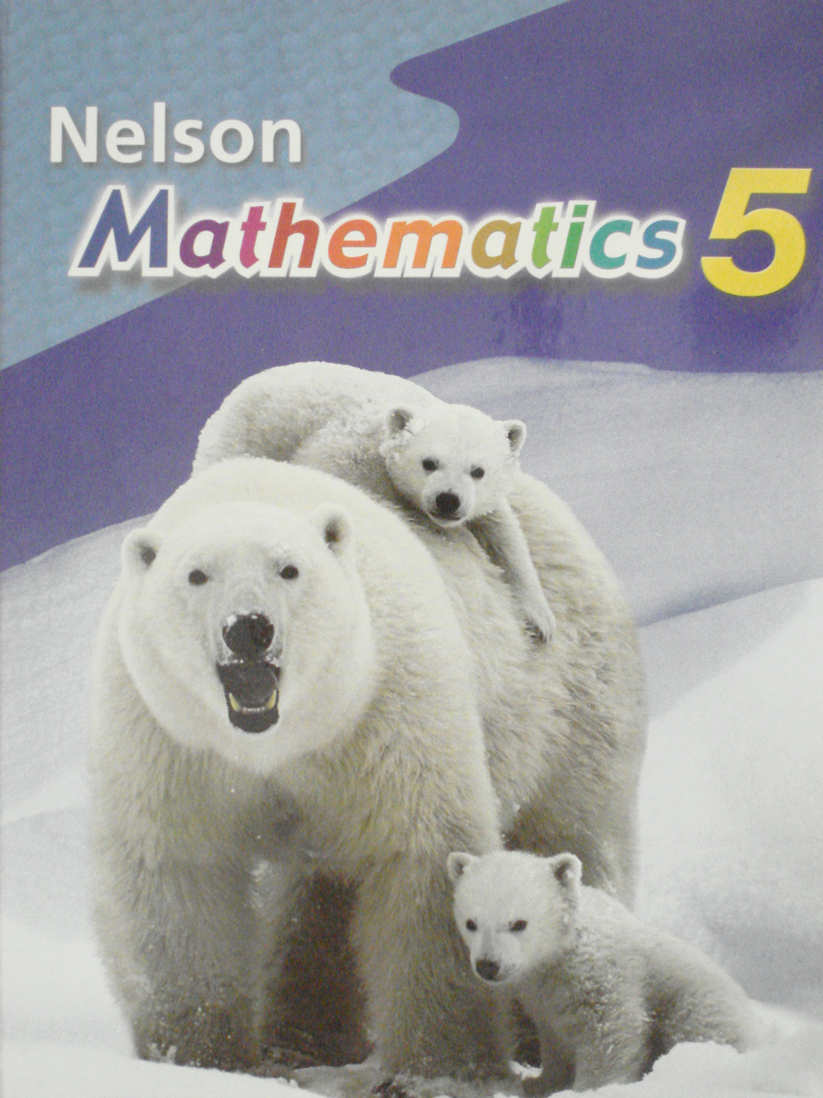 Nelson Mathematics 5 Textbook