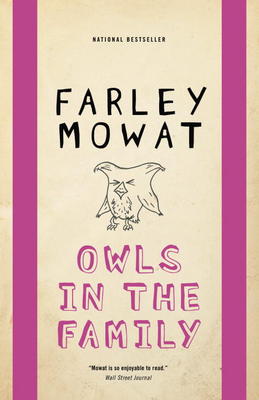 Owls in the Family