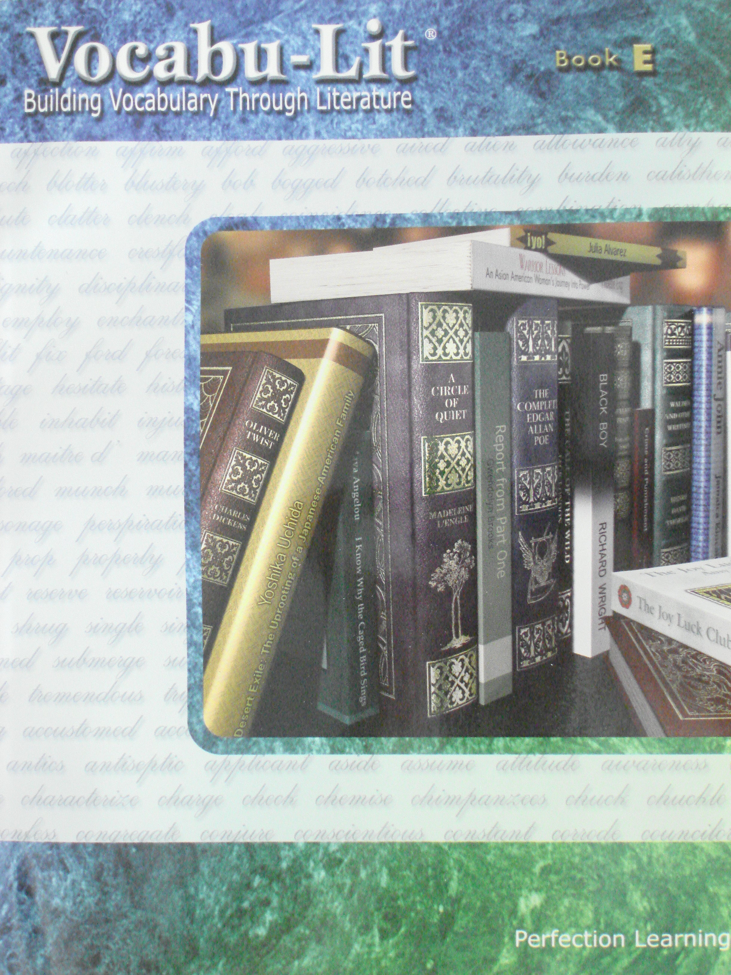 Vocabu-Lit Book E