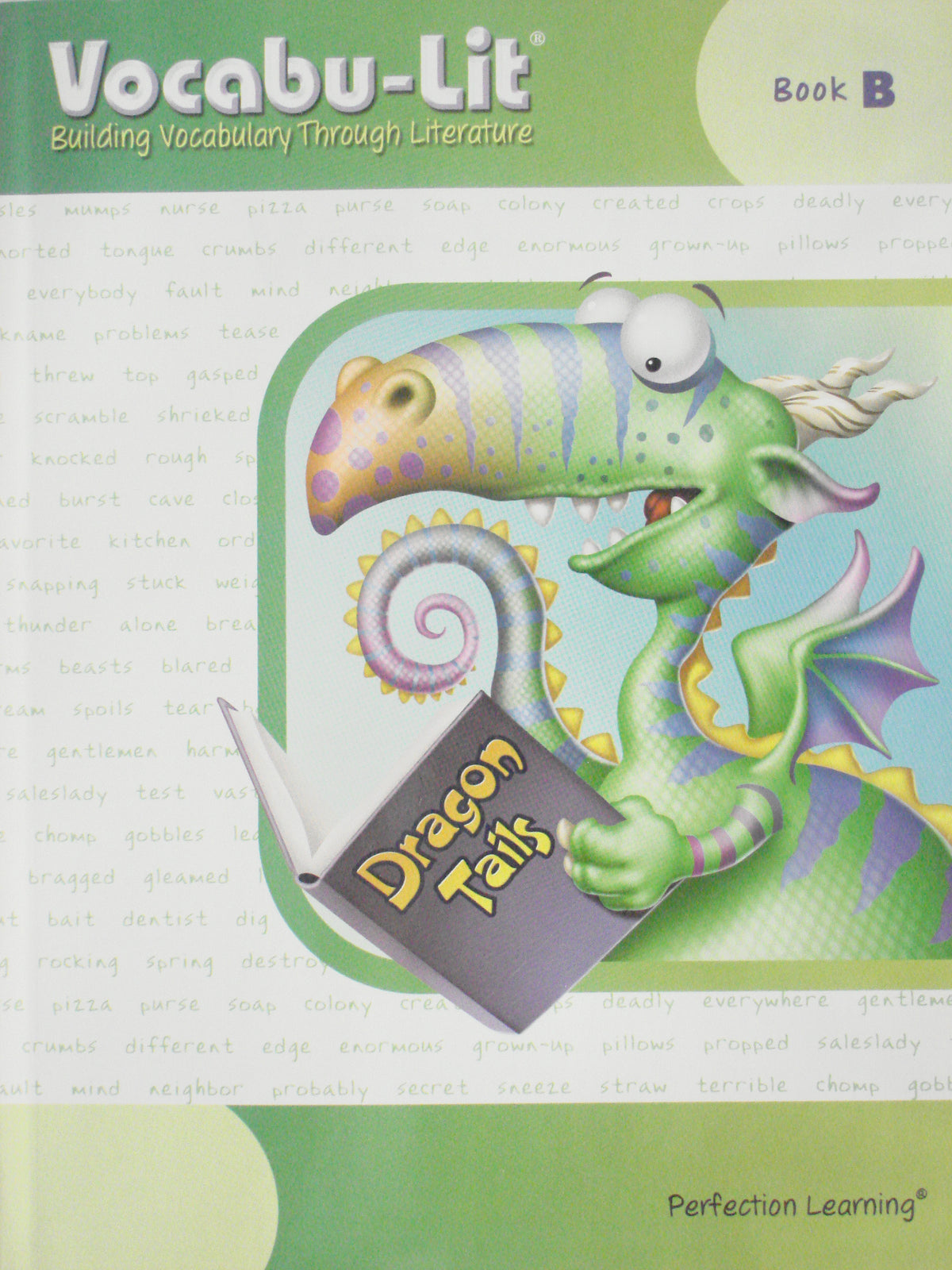 Vocabu-Lit Book B