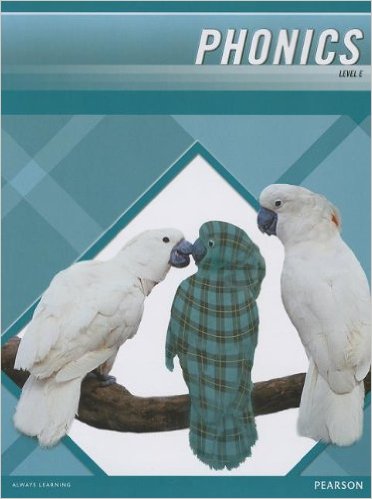 PLAID PHONICS 2011 WORD STUDY STUDENT EDITION LEVEL E