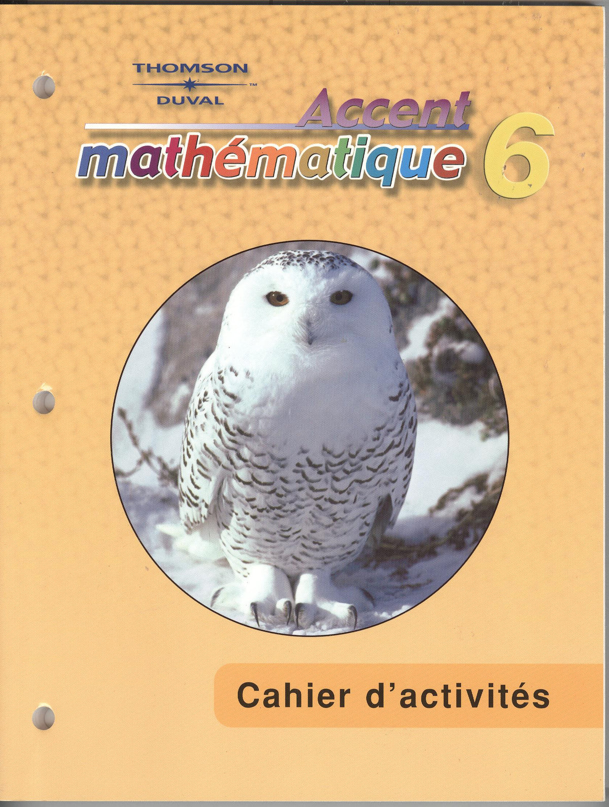 Accent Mathematique 6 Cahier d'Activites