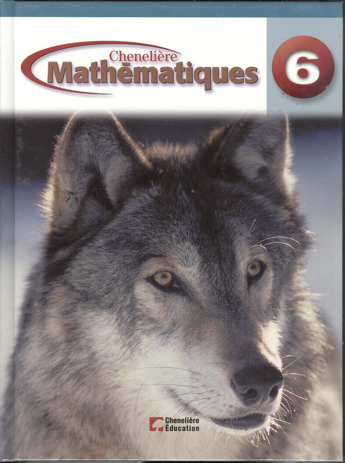 Chenelière Mathématiques 6