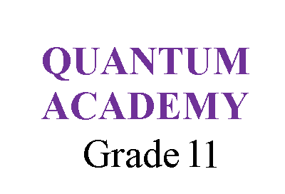 Quantum Academy Grade 11