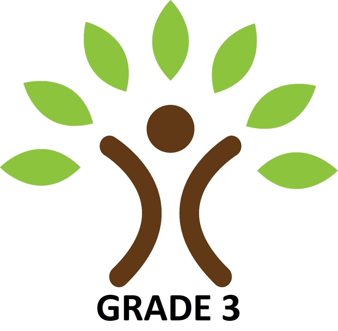 Roots Private School Grade 3